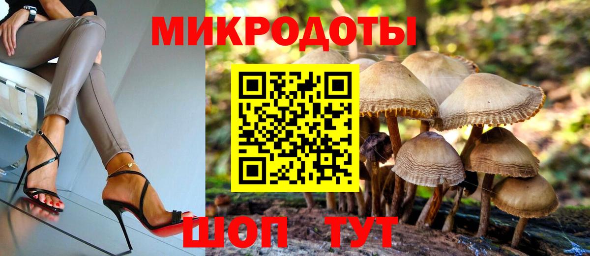 Сегежа  где продают наркотики  Вход с VPN  Галлюциногенные грибы GOLDEN TEACHER 